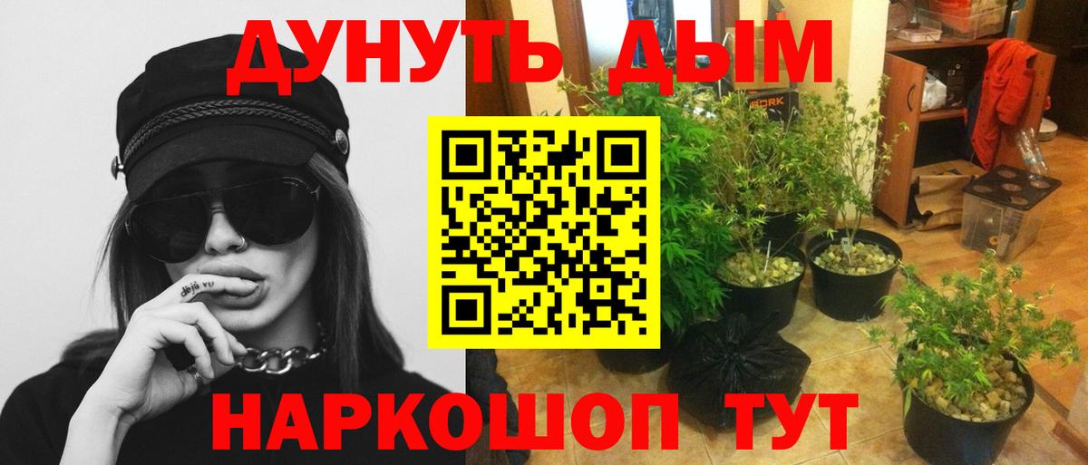 Каннабис White Widow  Шишки марихуана план  Марихуана тримм  Егорьевск  Вход с VPN 